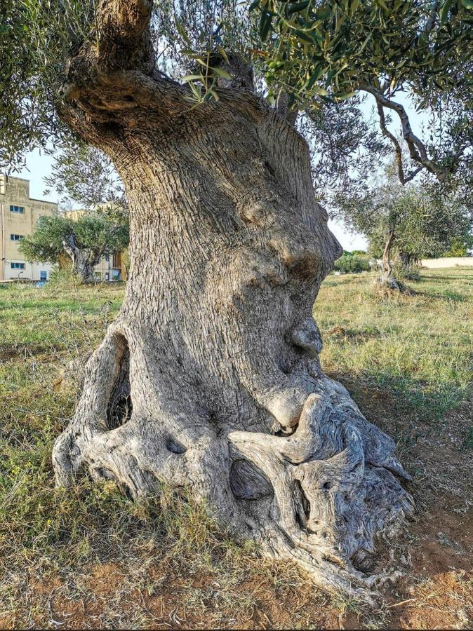 Dimora D'Errico - Monolocale Nel Centro Storico Appartement Carovigno Buitenkant foto